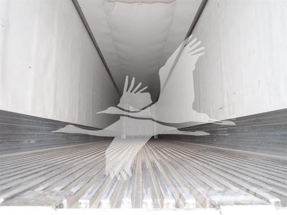 Utility 3000R Poluprikolice hladnjače