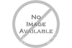 CAT Bucsa - 9R0320 Boom i dipper strele