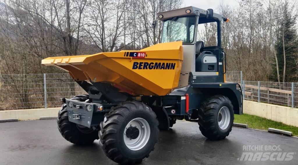 Bergmann C810s Zglobni damperi