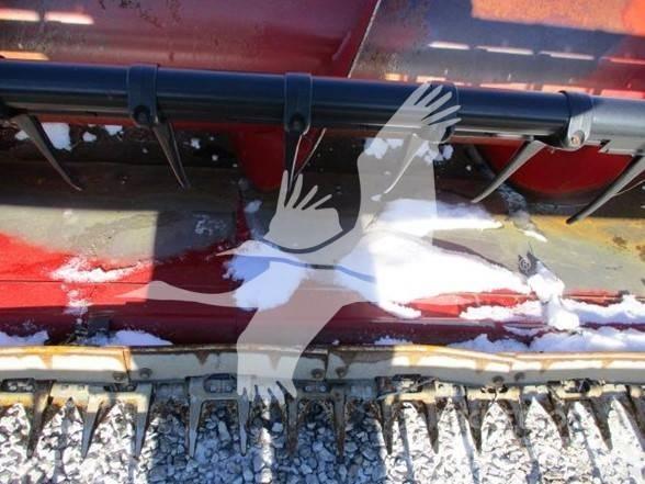 Case IH 1020 Glave hederi za kombajne