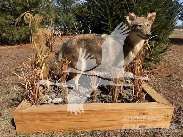 Coyote  Ostalo za građevinarstvo