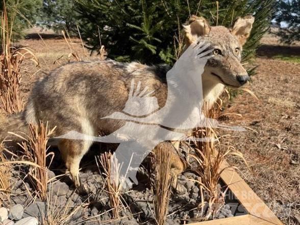 Coyote  Ostalo za građevinarstvo