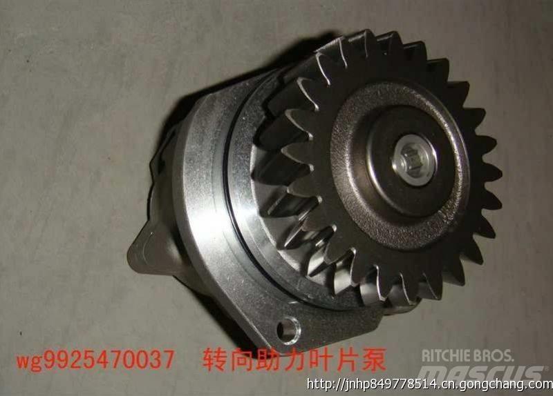 zhongqi WG9925470037 Kargo motori
