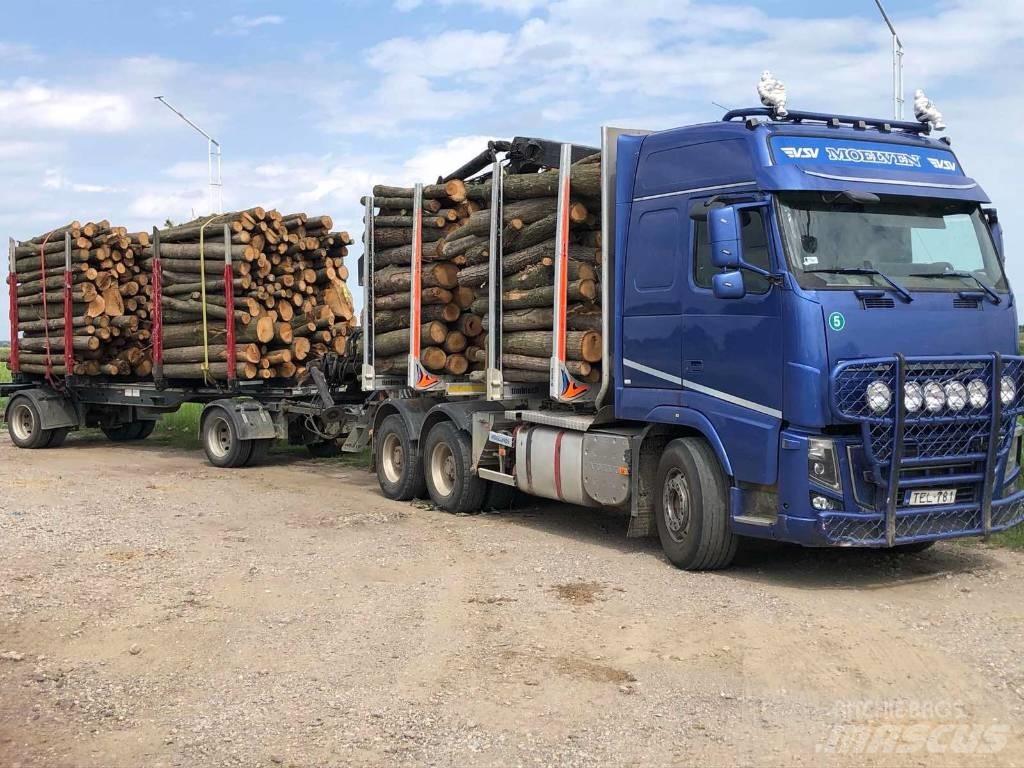 Volvo FH 16 750 Kamioni za drva Šticari