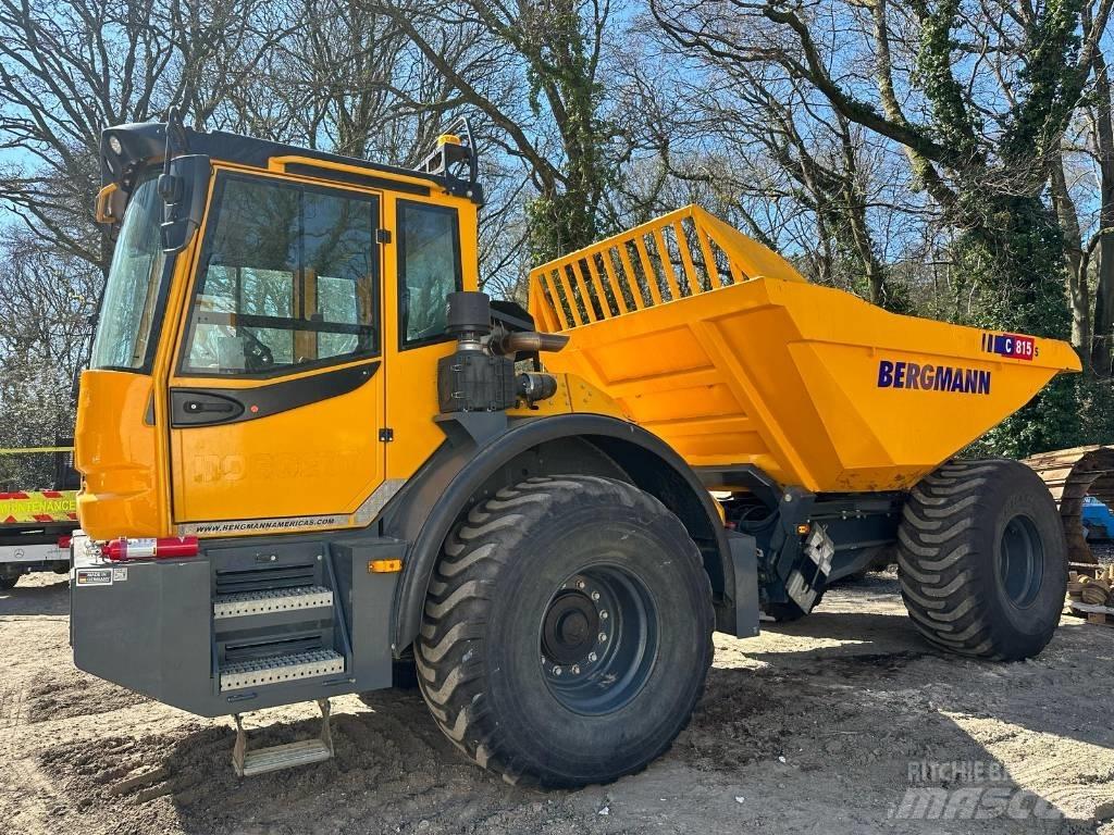 Bergmann C815S Zglobni damperi