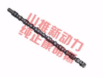 cummins 4298626 Kargo motori