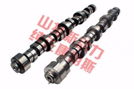 cummins 4298626 Kargo motori