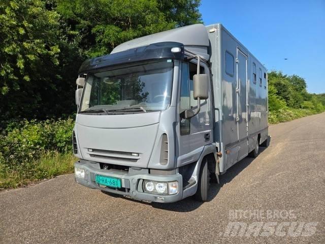 Iveco E 75 Kamioni za prevoz životinja