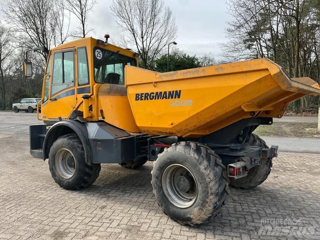 Bergmann 3009 R Zglobni damperi