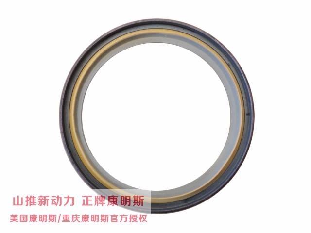 cummins 3014668 Kargo motori