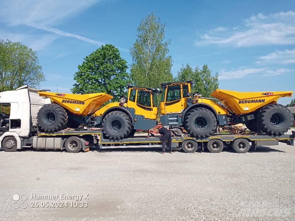 Bergmann C815S Zglobni damperi