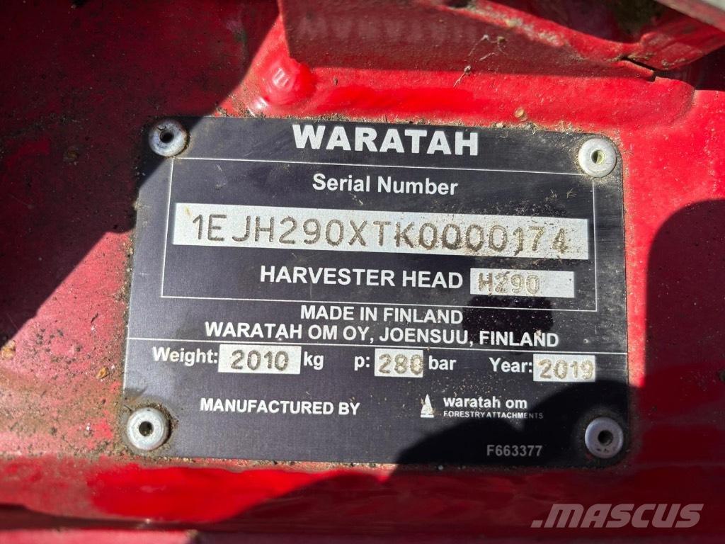 Waratah H290 Harversteri