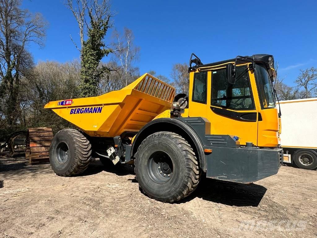 Bergmann C815S Zglobni damperi