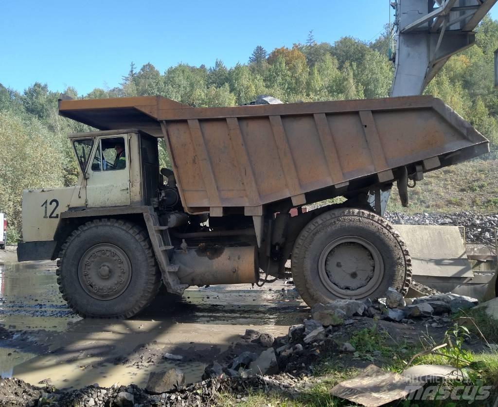 Belaz 75485 Kruti damperi
