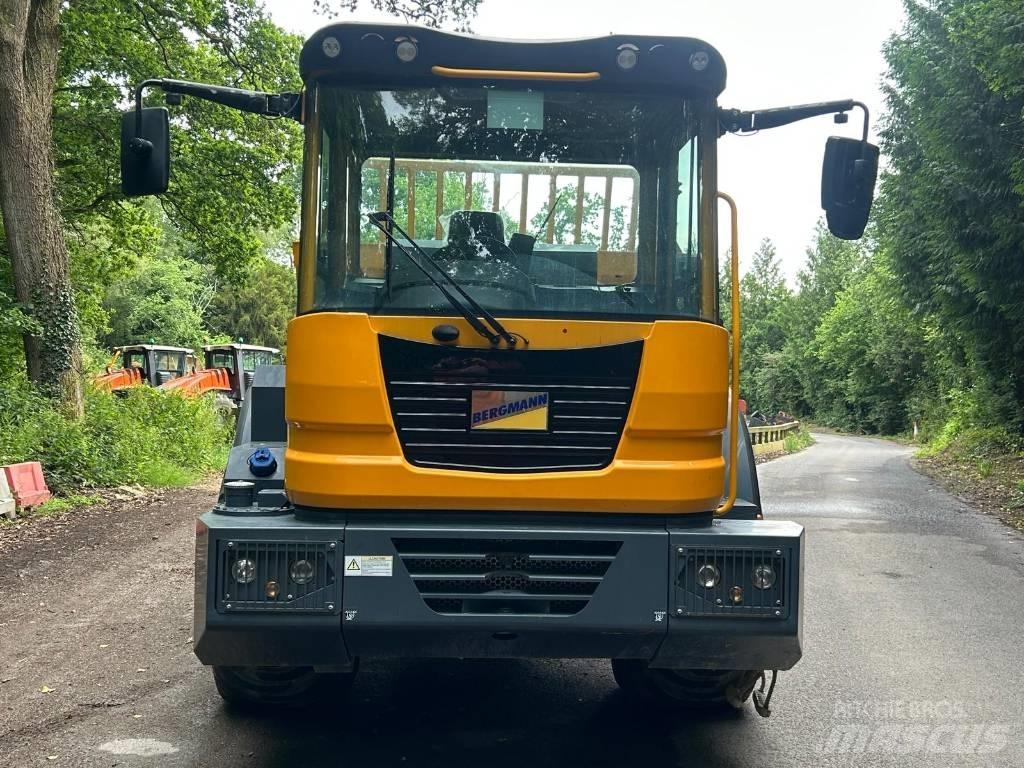 Bergmann C815S Zglobni damperi