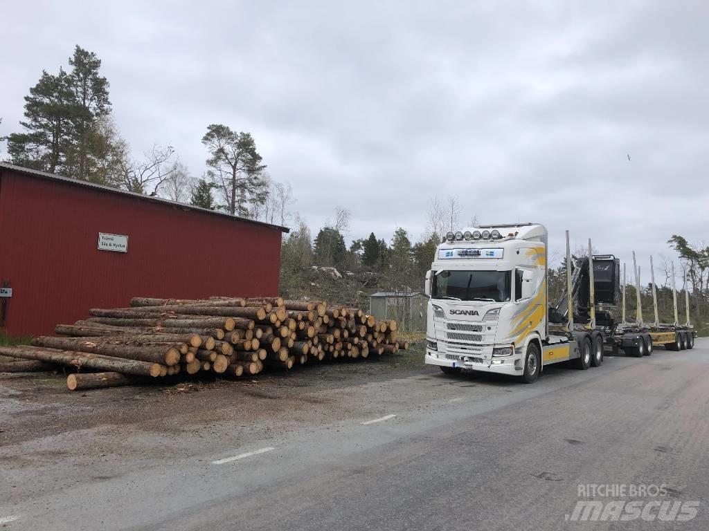 Scania R 650 Kamioni za drva Šticari