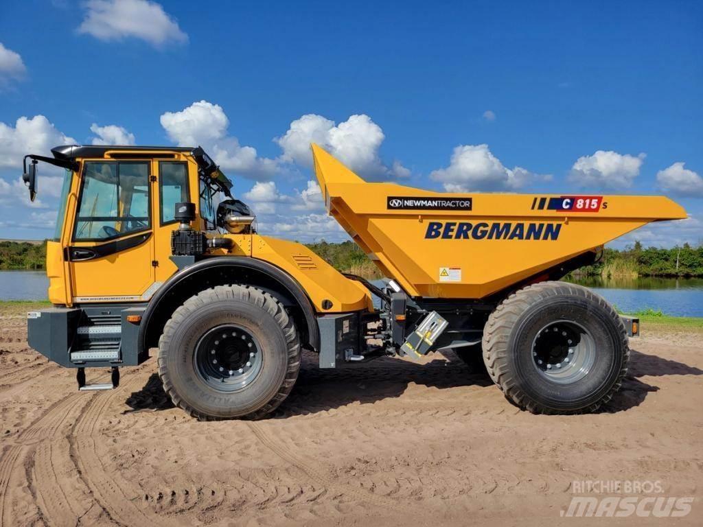Bergmann C815S Zglobni damperi