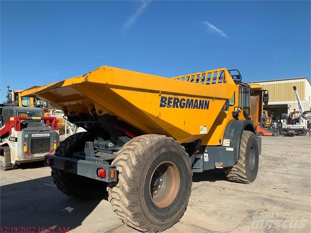 Bergmann C815S Kamioni za vodu