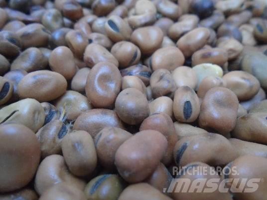  feverole Ostalo za građevinarstvo