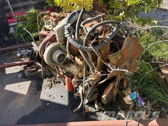 Cummins  Kargo motori