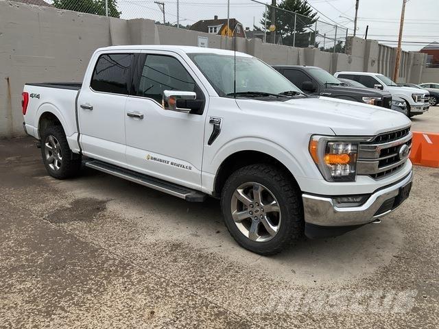 Ford F-150 Ostalo