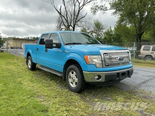 Ford F-150 Pik up kamioni