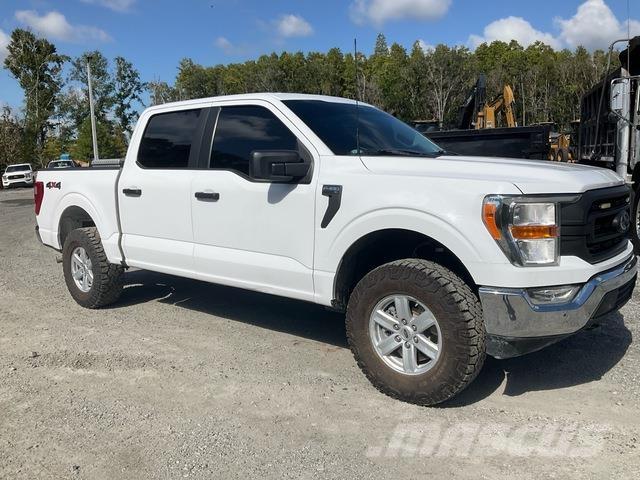 Ford F-150 Pik up kamioni
