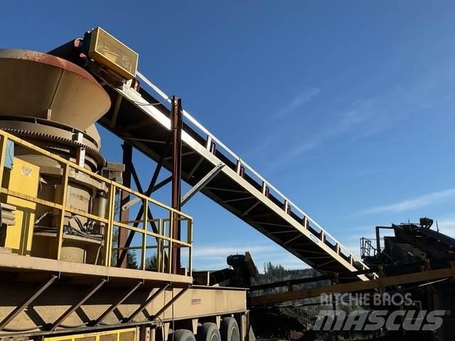  Reesco 36X60 Transportne trake