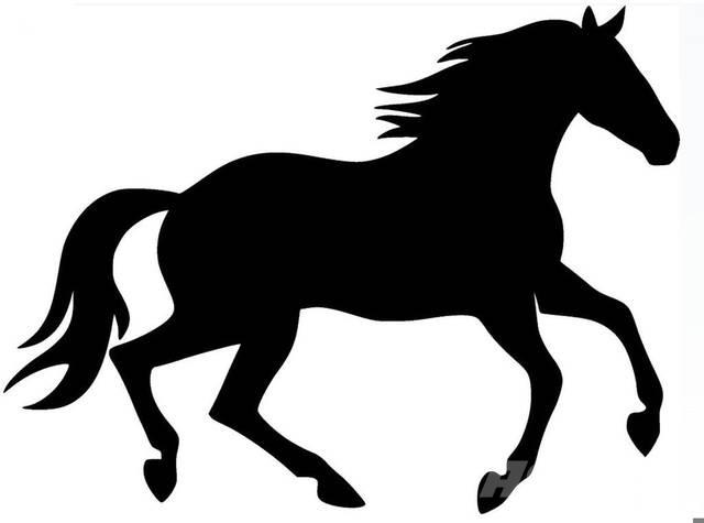  Bay Filly Ostalo za građevinarstvo