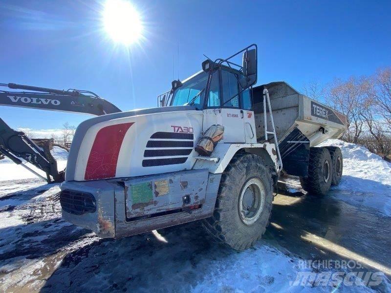 Terex TA30 Zglobni damperi