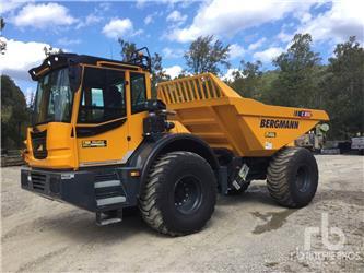 Bergmann C815S