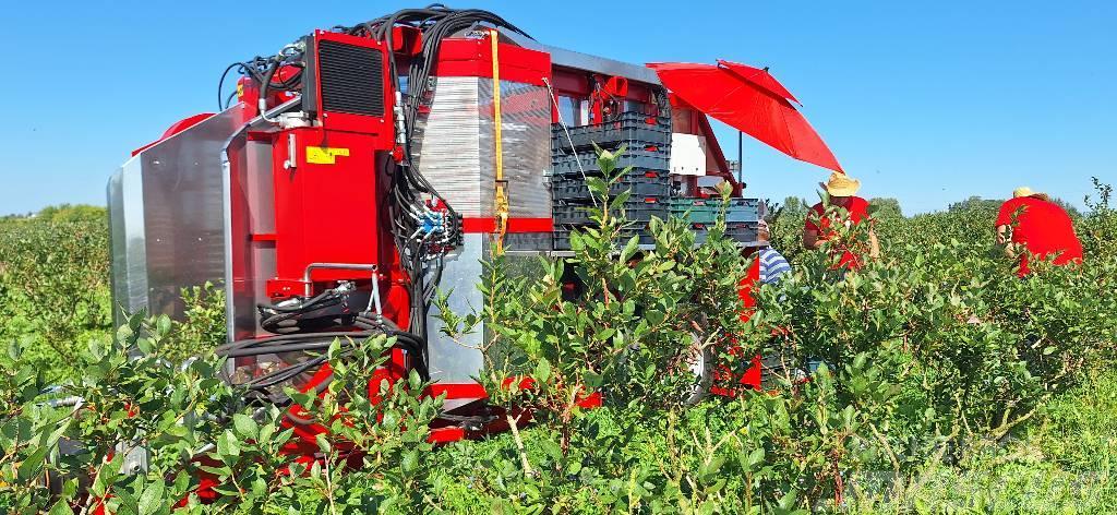 Weremczuk Kombajn do malin KAREN | Raspberry harvester Mašine za berbu groždja