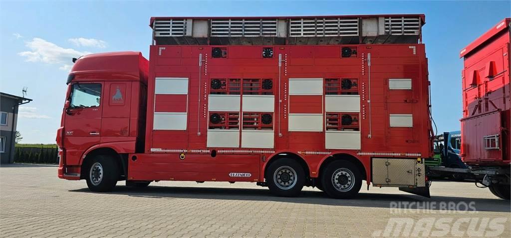 DAF XF 105.510 Kamioni za prevoz životinja