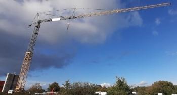 Liebherr 81K.1