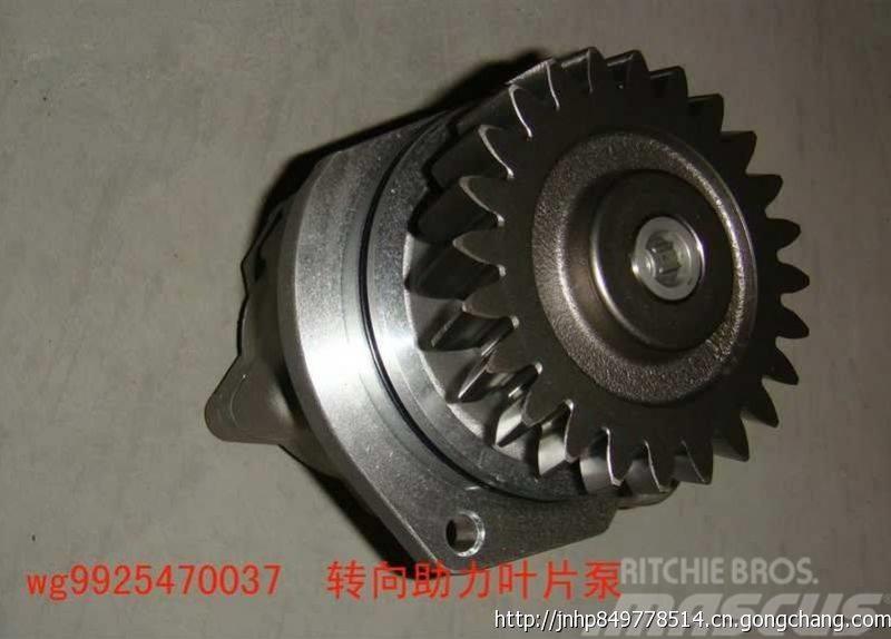  zhongqi WG9925470037 Kargo motori