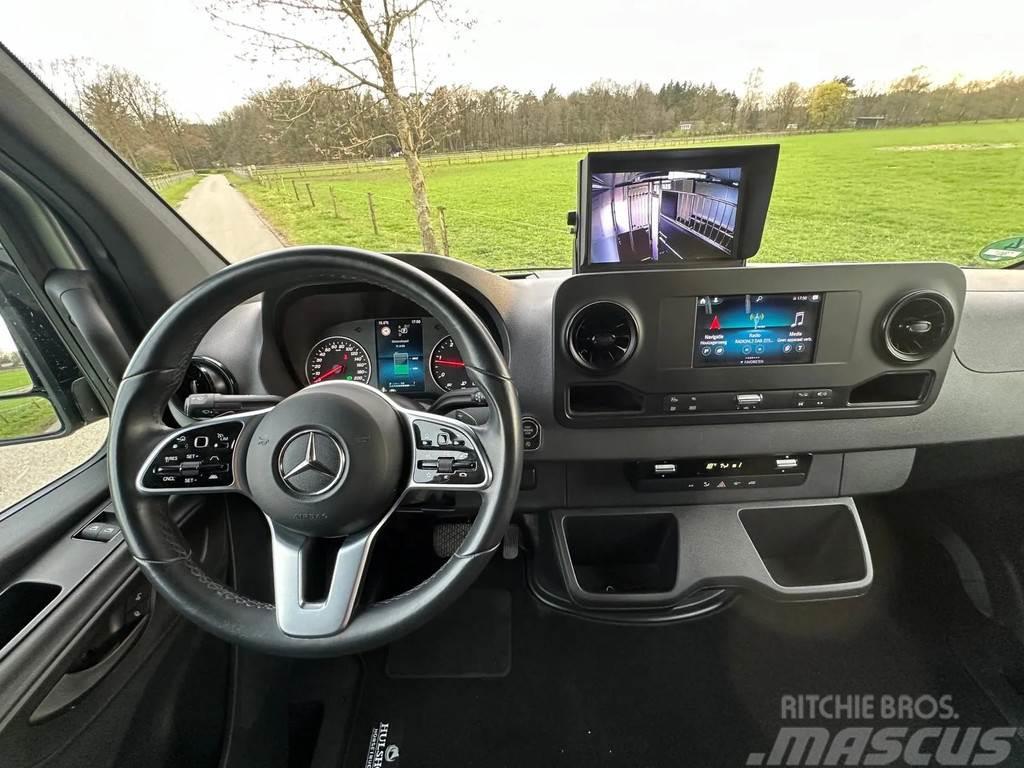 Mercedes-Benz Sprinter AMG 2-paards paardenvrachtwagen B-rijbewi Kamioni za prevoz životinja