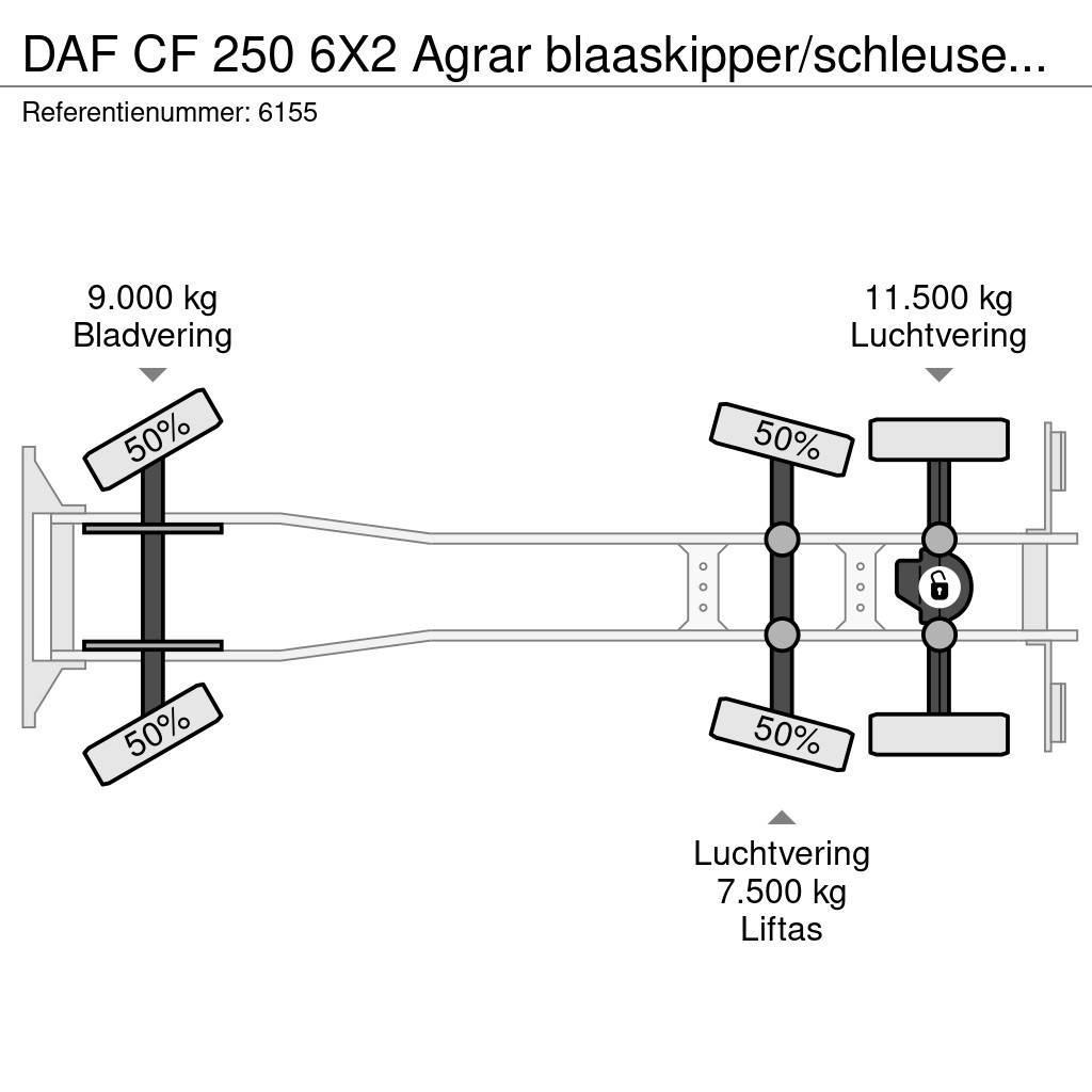 DAF CF 250 6X2 Agrar blaaskipper/schleuse Blower Manua Kiperi kamioni